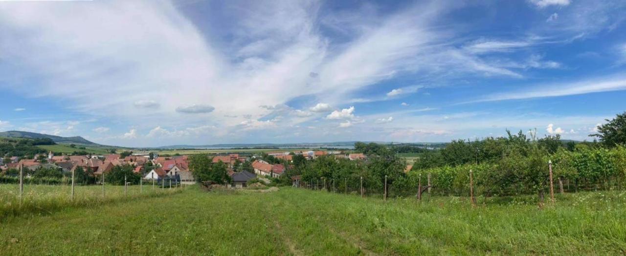 Prazdninovy Dum Na Palave S Vinnym Sklepem Milovice  Ngoại thất bức ảnh